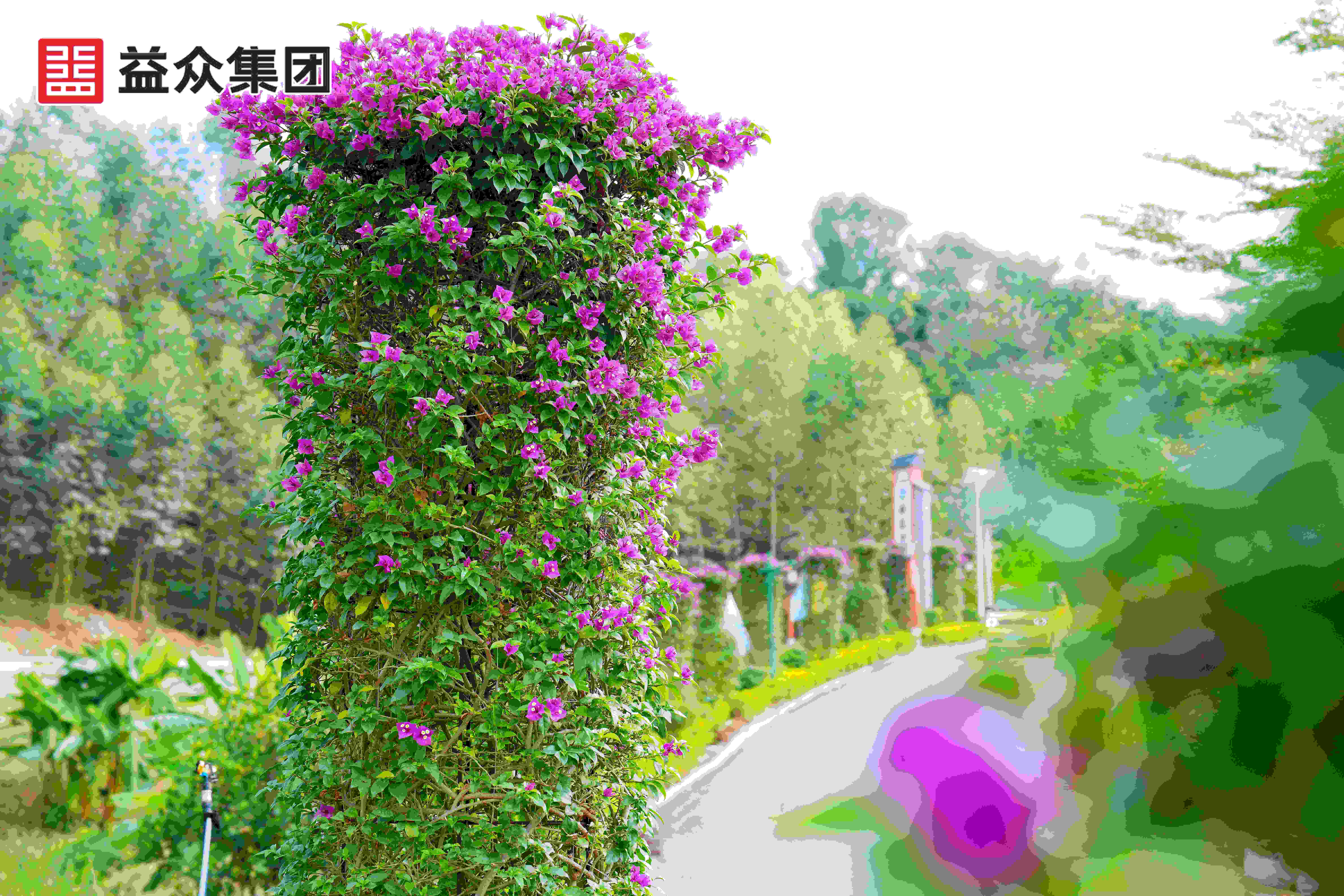 濕地公園部分景觀(guān)4_副本